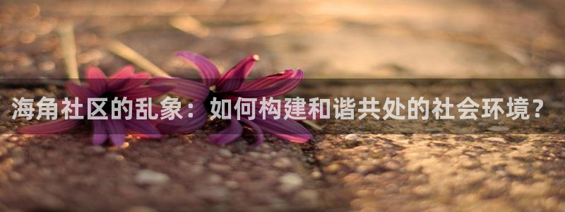 海角社区hj7e：海角社区的乱象：如何构建和谐共处的社会环境？