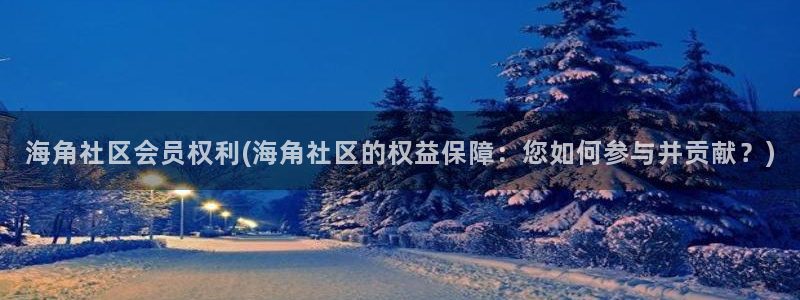 hjabb海角社区论坛：海角社区会员权利(海角社区的权益保障：您如何参与并贡献？)