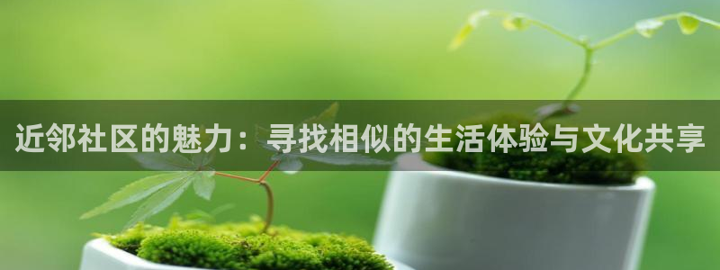 海角社区app轻量版：近邻社区的魅力：寻找相似的生活体验与文化共享