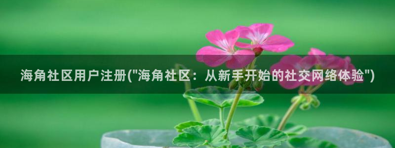 海角社区shsjsjssnn：海角社区用户注册(\