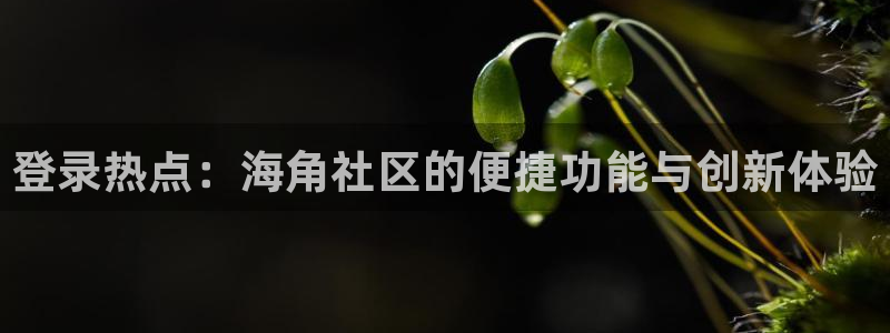 海角社区镜像：登录热点：海角社区的便捷功能与创新体验