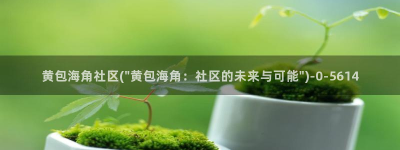 海角社区bug：黄包海角社区(\