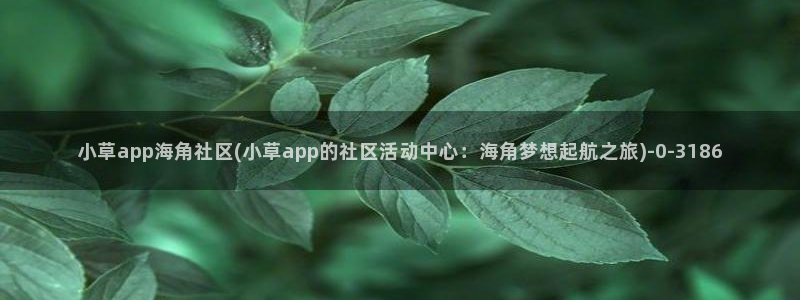 海角社区hja：小草app海角社区(小草app的社区活动中心：海角梦想起航之旅)