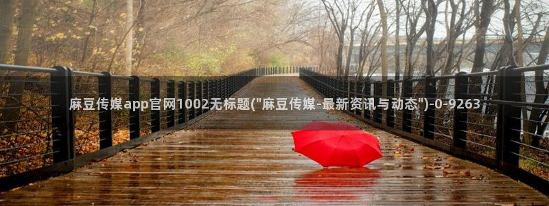 麻豆视频标签规划