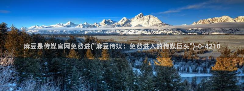 麻豆标题优化