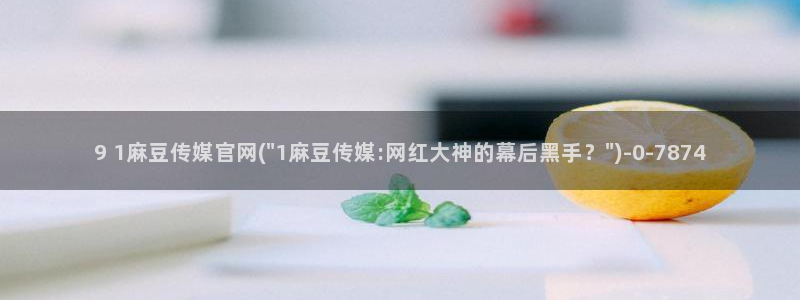 麻豆SEO模板