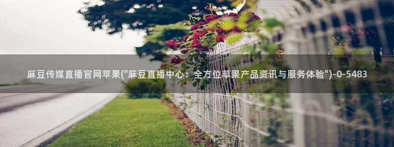 麻豆资源站模板