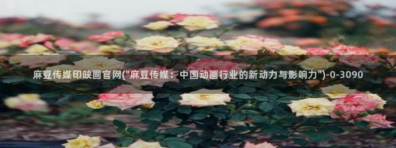 麻豆资讯标题