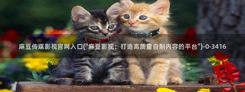 麻豆视频页面关键词