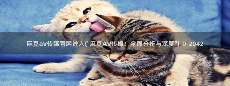 麻豆视频标签规划