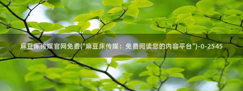 麻豆视频内容质量