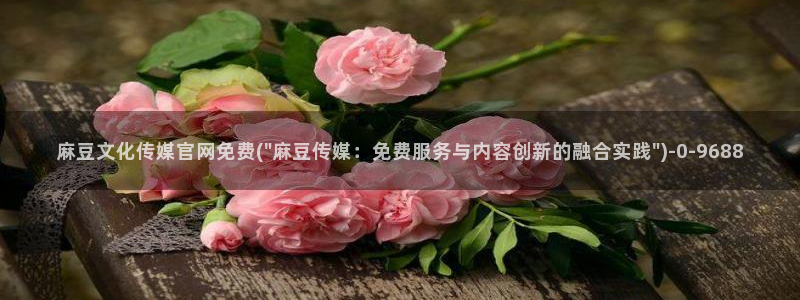 麻豆资料页