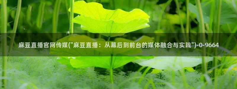 麻豆新片标题