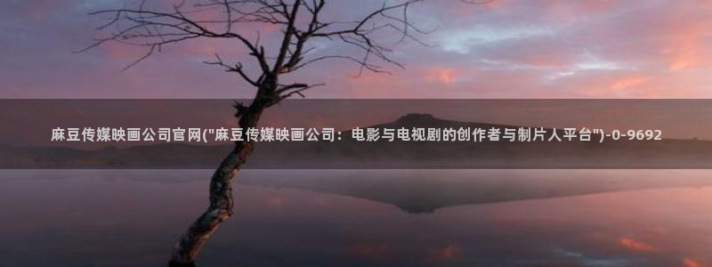 麻豆剧情视频