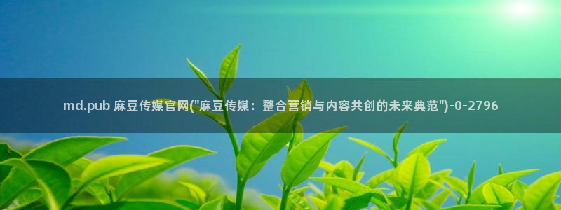 麻豆视频推荐内容
