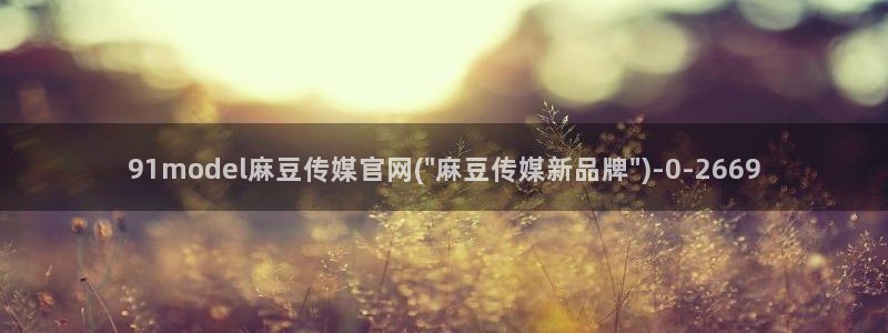 麻豆视频模板标签