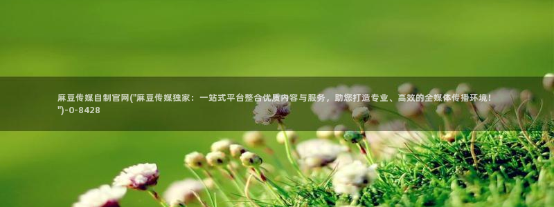 麻豆资讯描述