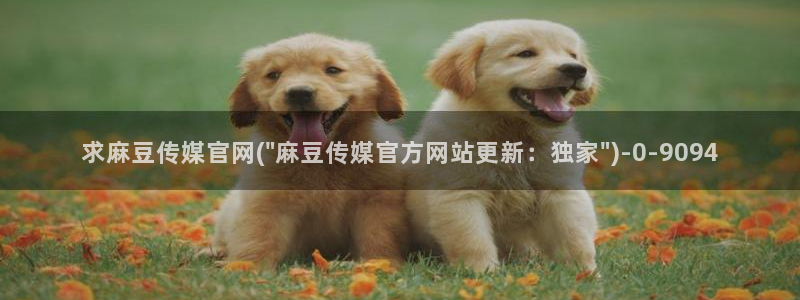 麻豆视频站