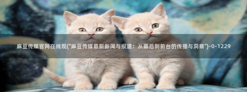 麻豆传媒