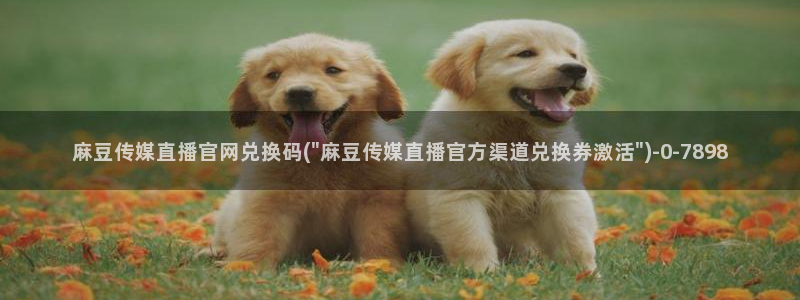 麻豆视频分类名称