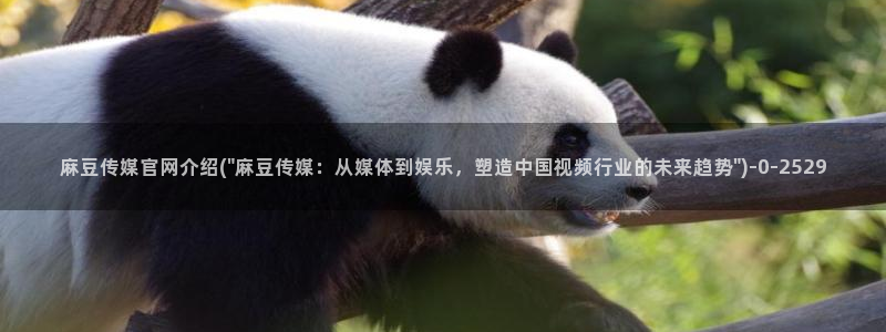 麻豆热门专题