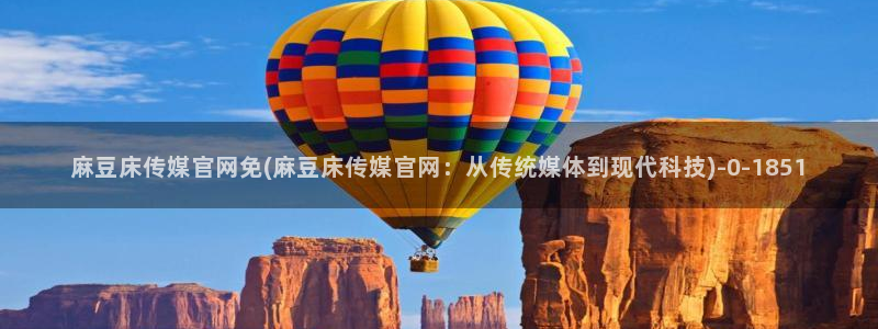 麻豆视频分类规则