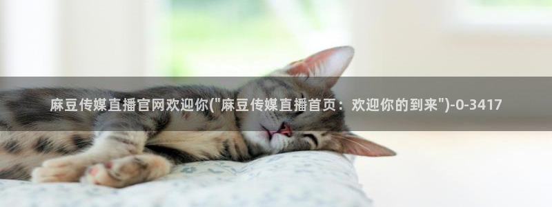 麻豆视频高流量词