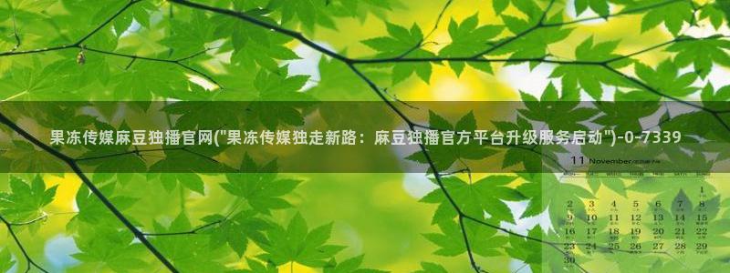 麻豆视频资料维护