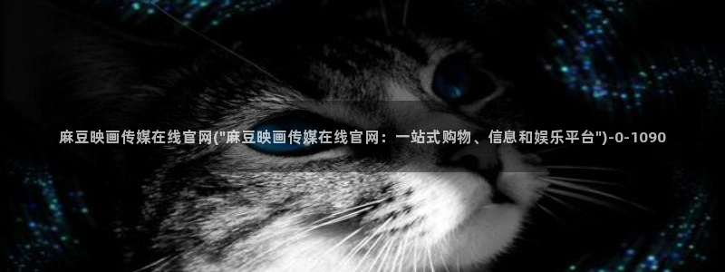 麻豆视频演员文案