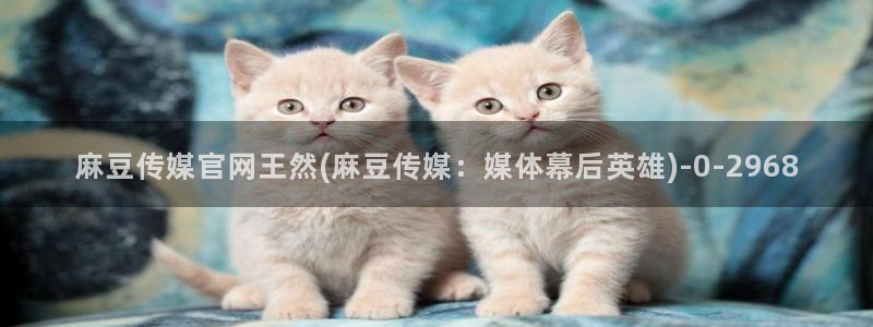 麻豆视频盘点文案