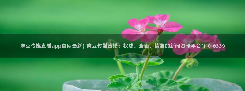 麻豆站点地图