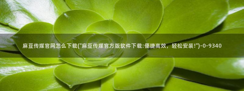 麻豆视频百度优化