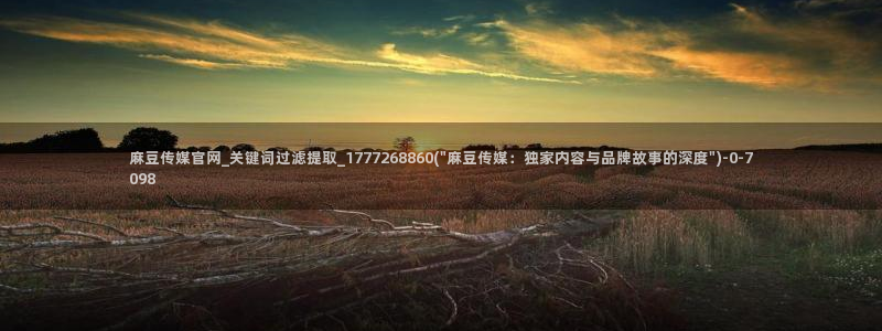 麻豆视频推荐内容