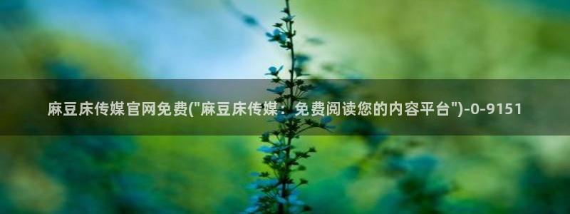 麻豆视频导航