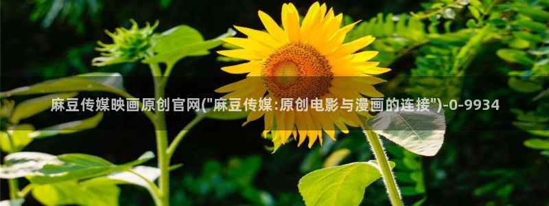 麻豆精品视频