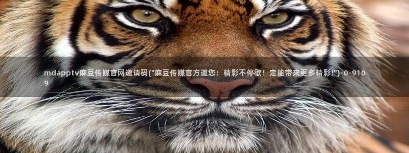 麻豆视频排行文案：mdapptv麻豆传媒官网邀请码(\