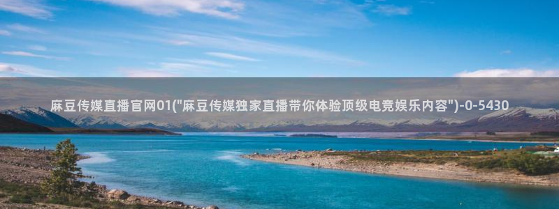 麻豆影视站