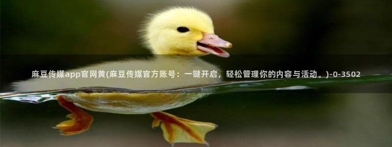 麻豆视频内链