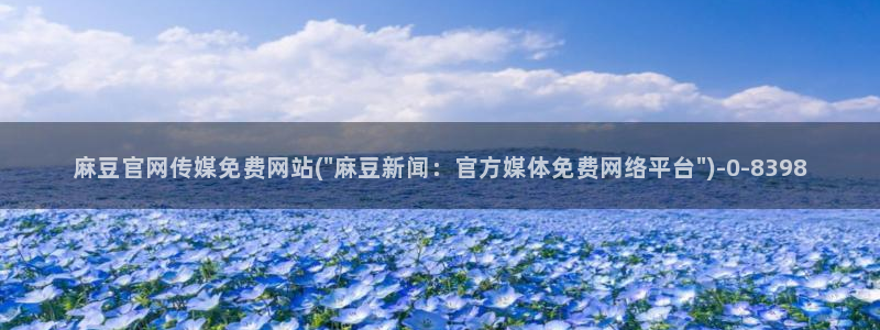麻豆视频资料文案
