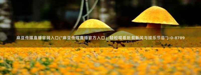 麻豆分类库